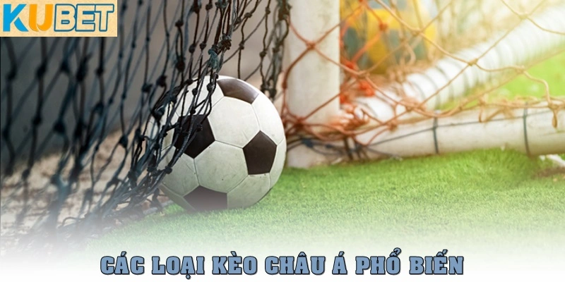 Kèo châu Á là gì? Cách đọc và kinh nghiệm chơi tại Kubet 3 Các loại kèo châu Á phổ biến nhất hiện nay