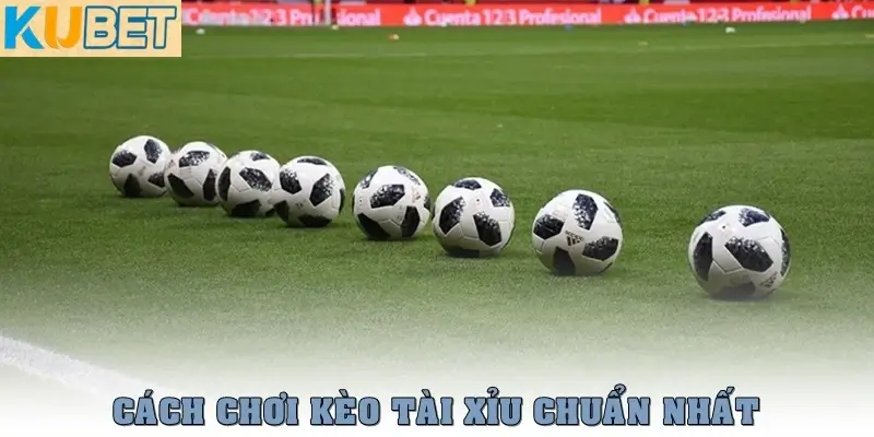 Kèo tài xỉu là gì? Cách đọc kèo và mẹo chơi dễ thắng nhất 3 Cách chơi kèo tài xỉu chuẩn nhất cho người mới