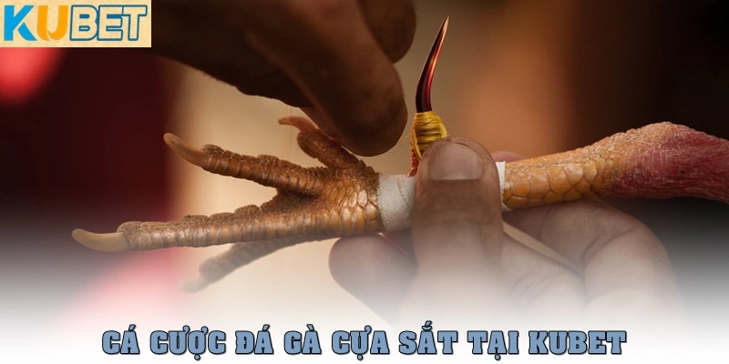 da ga cua sat thumb