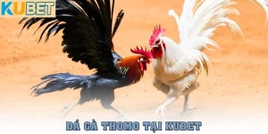 da ga thomo thumb