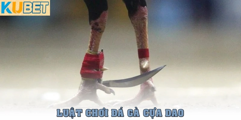 Đá Gà Cựa Dao – Môn Đối Kháng Tốc Độ Cao, Sát Thương Cực Mạnh 3 Luật chơi đá gà cựa dao